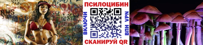 Псилоцибиновые грибы MAGIC MUSHROOMS Светогорск